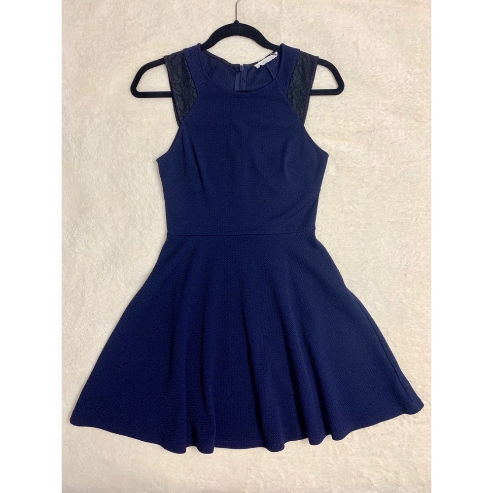 Lush Fit and Flare Dress